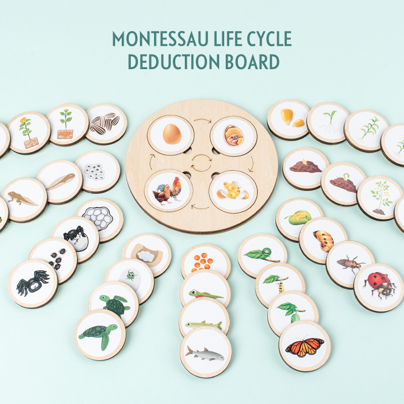Science Nature - Life Cycle Board Montessori Kit Biology
