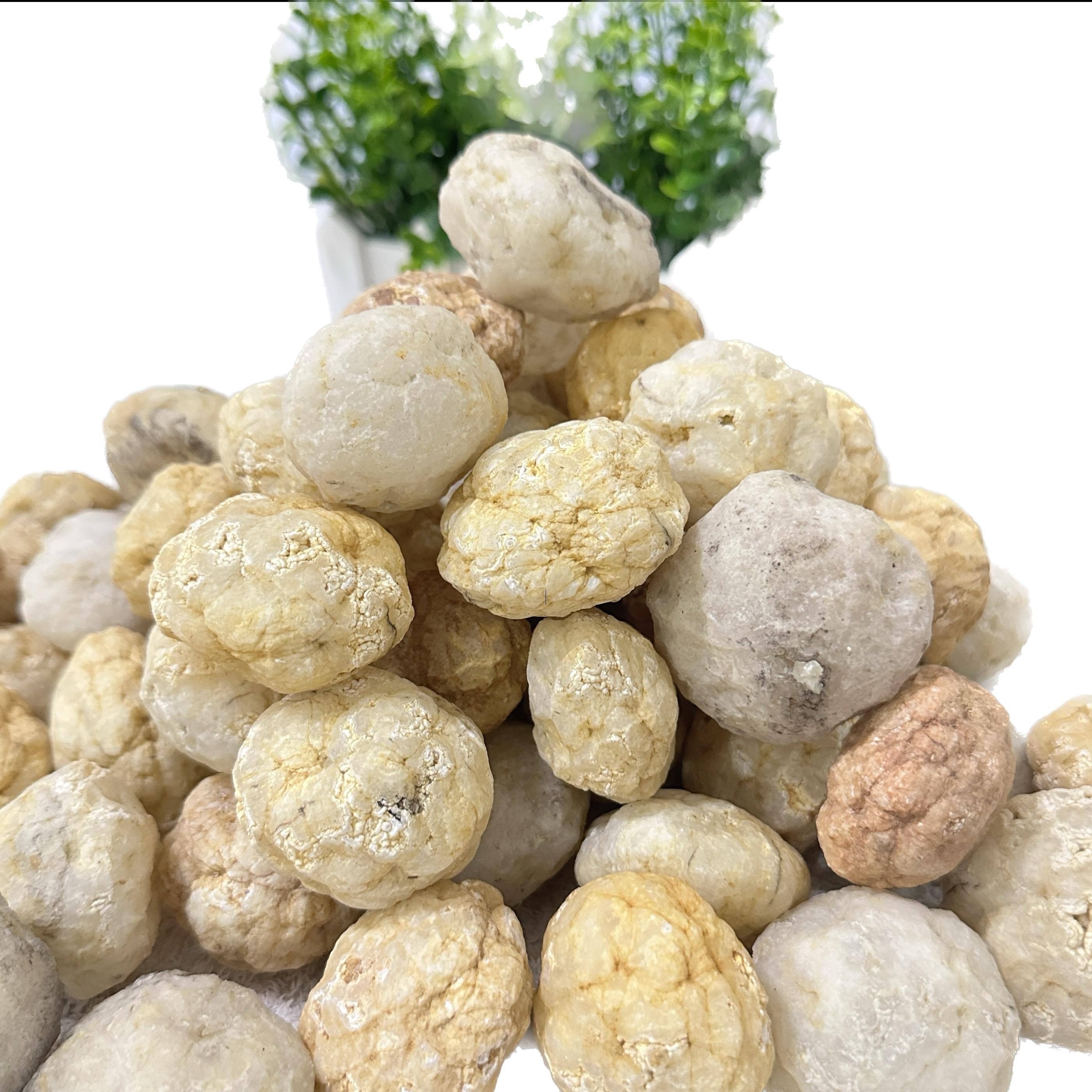 Break Your Own Geodes Natural  - Geode Crystal Break ulasan dan harga