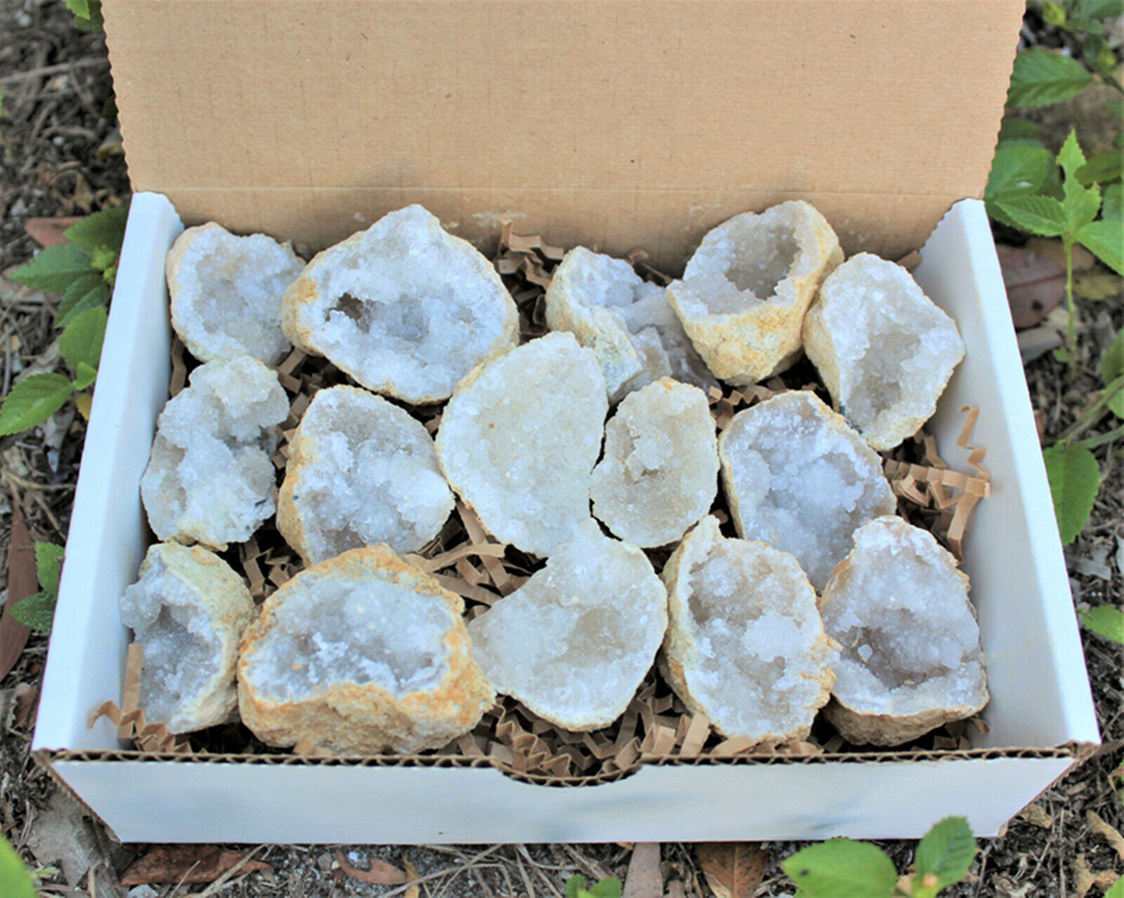 Large Unopened Moroccan Crysta - Geode Crystal Break ulasan dan harga