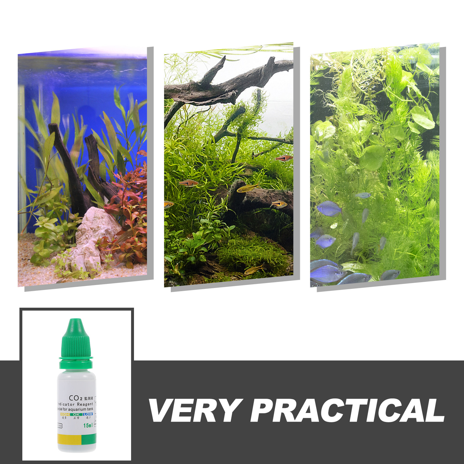 Co2 Fish Tank Test Indicator S - Water Testing Kit ulasan dan harga