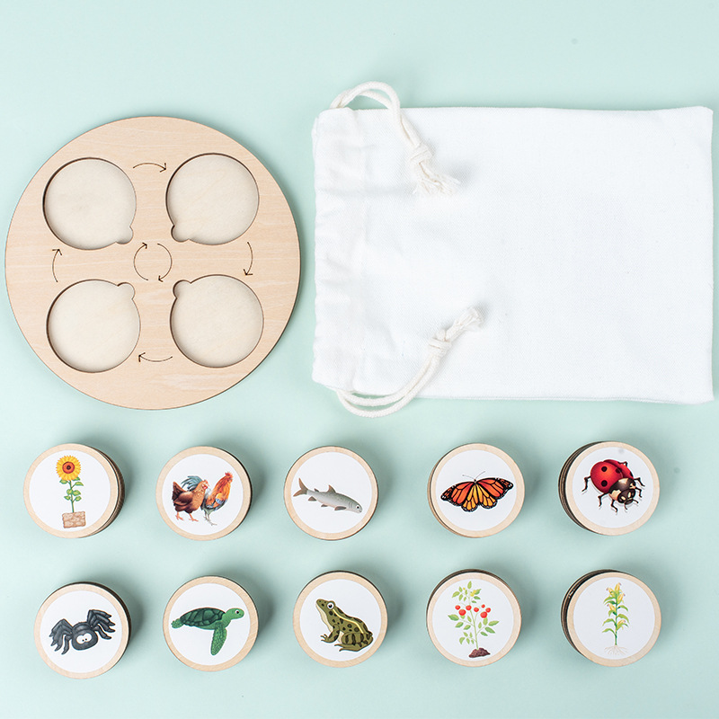 Life Cycle Board Montessori Ki - Science Nature ulasan dan harga