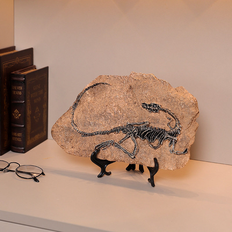 ‌Realistic Dinosaur Fossil Rep - Fossil Replica Display ulasan dan harga