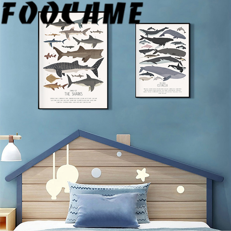 Deep-Sea Fish and Sharks Scien - Science Nursery ulasan dan harga